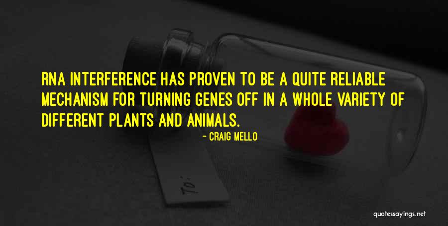 Tanweer Family Quotes By Craig Mello Tanweer Family Quotes By Craig Mello