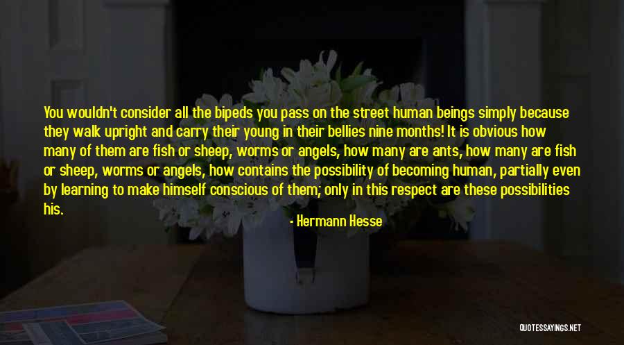 Tanz In Urdu Quotes By Hermann Hesse Tanz In Urdu Quotes By Hermann Hesse