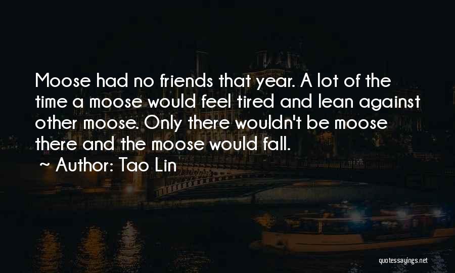 Tao Lin Quotes 1181306