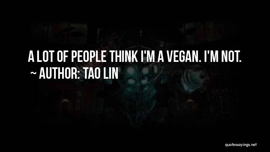 Tao Lin Quotes 1408608