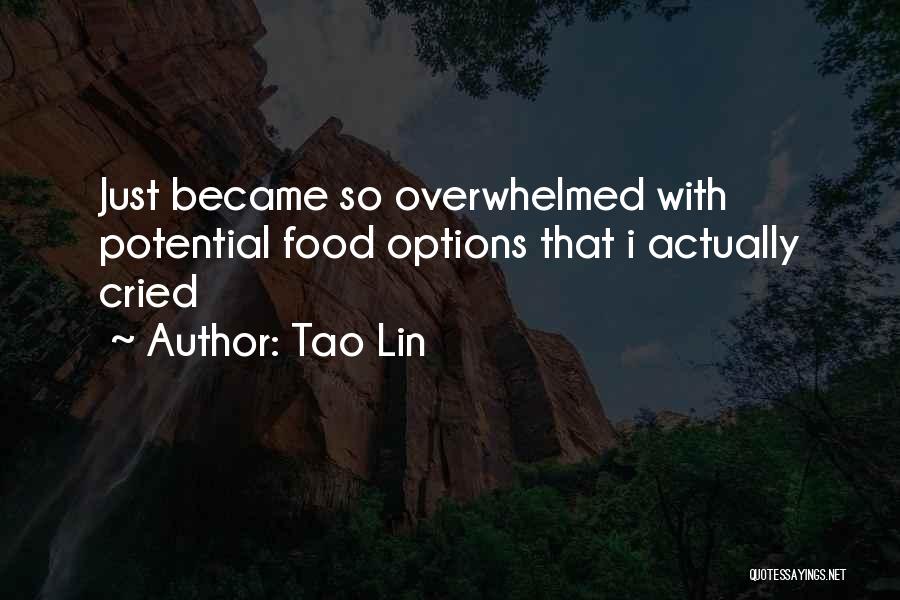 Tao Lin Quotes 158274