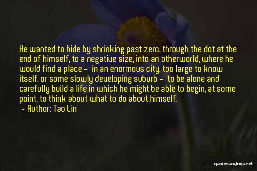 Tao Lin Quotes 254423