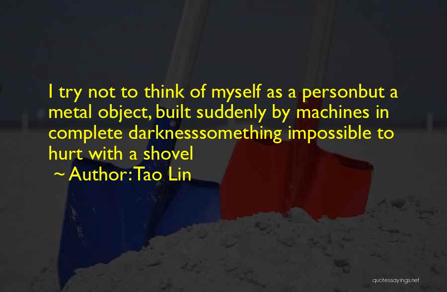 Tao Lin Quotes 346351