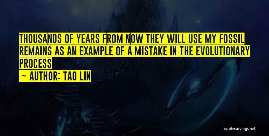 Tao Lin Quotes 538759