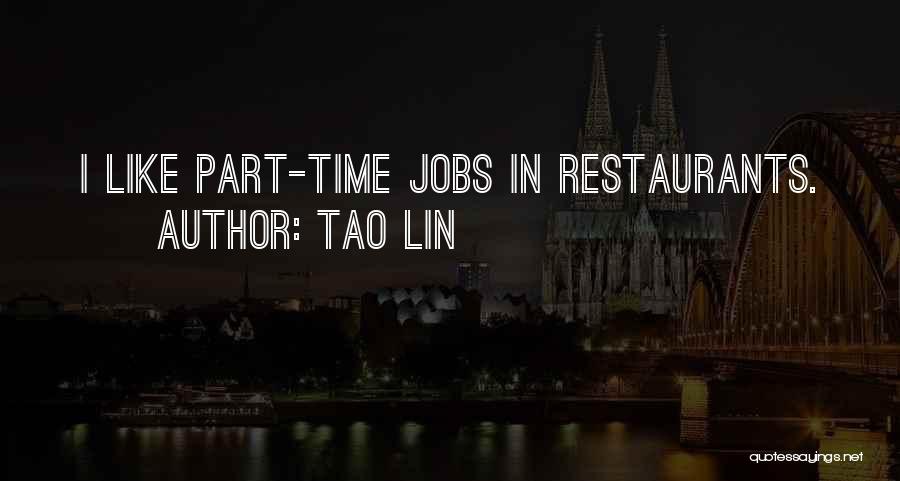 Tao Lin Quotes 743204