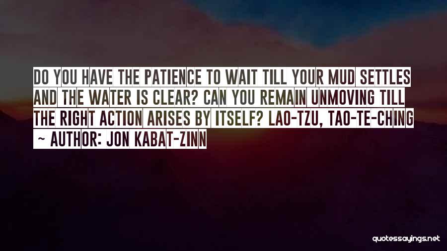 Tao The Ching Quotes By Jon Kabat-Zinn