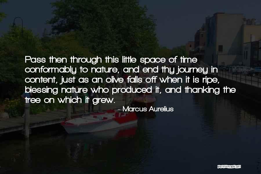 Taobao Singapore Quotes By Marcus Aurelius Taobao Singapore Quotes By Marcus Aurelius