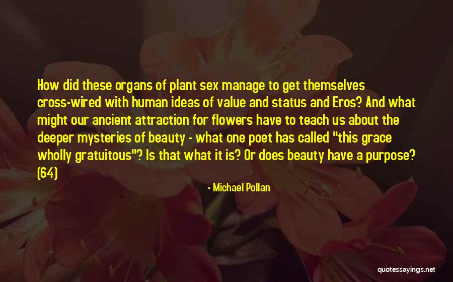 Taohun Quotes By Michael Pollan Taohun Quotes By Michael Pollan