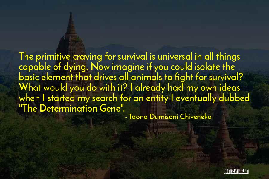Taona Dumisani Chiveneko Quotes 1809532 Taona Dumisani Chiveneko Quotes 1809532