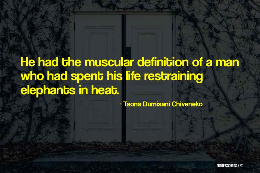 Taona Dumisani Chiveneko Quotes 1916718 Taona Dumisani Chiveneko Quotes 1916718