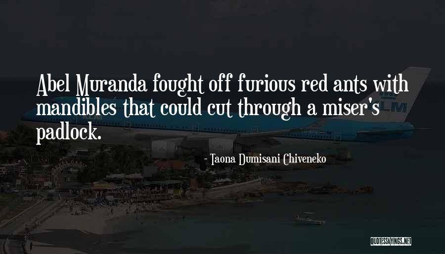 Taona Dumisani Chiveneko Quotes 788925 Taona Dumisani Chiveneko Quotes 788925