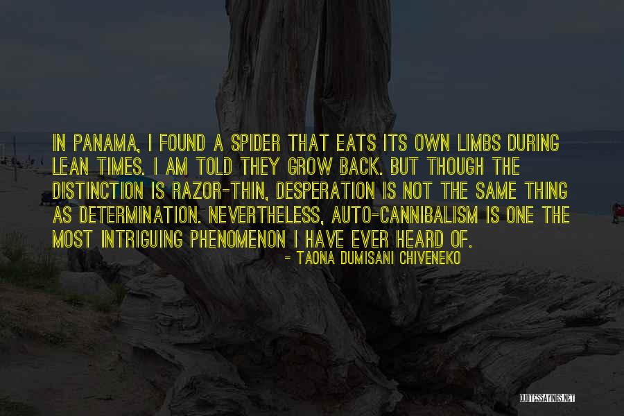 Taona Dumisani Chiveneko Quotes 816394 Taona Dumisani Chiveneko Quotes 816394