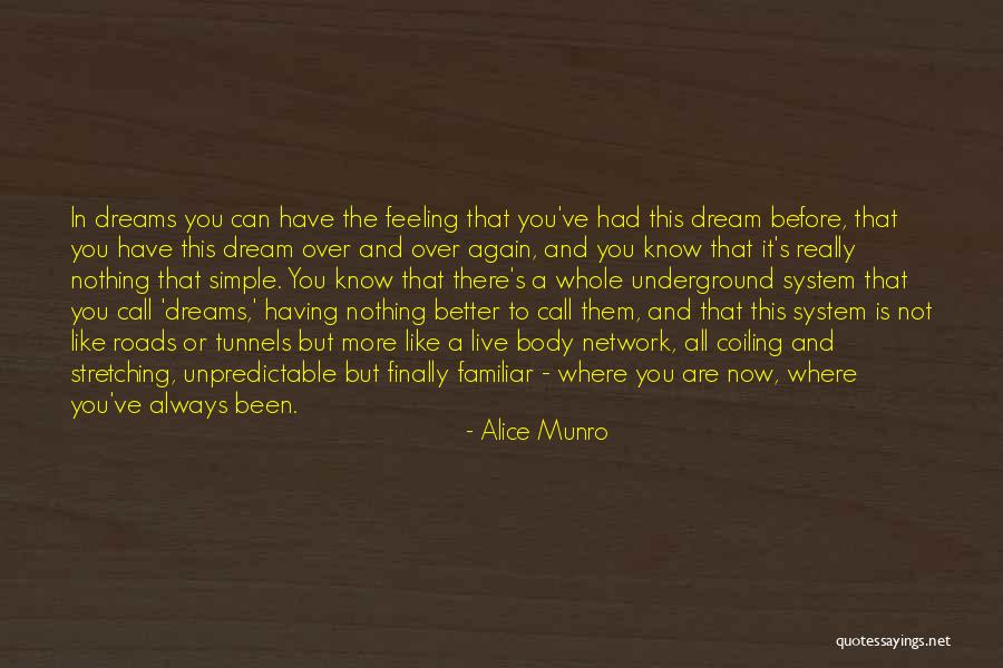 Taoufik Meklachi Quotes By Alice Munro Taoufik Meklachi Quotes By Alice Munro