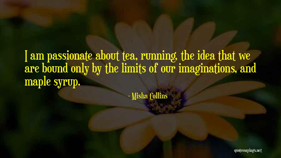 Tapaderos Quotes By Misha Collins Tapaderos Quotes By Misha Collins
