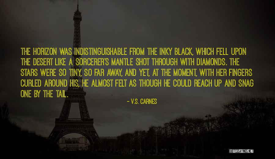 Tapas Niyama Quotes By V.S. Carnes Tapas Niyama Quotes By V.S. Carnes