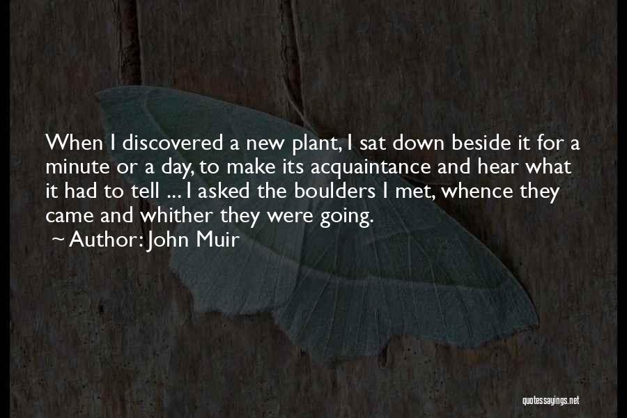 Tapete Sanitizante Quotes By John Muir