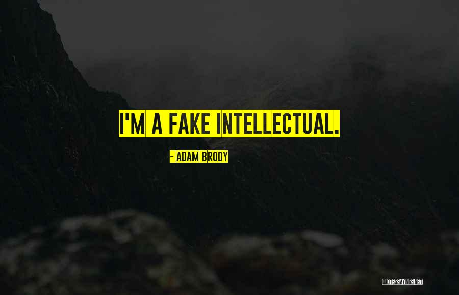 Tapies Video Quotes By Adam Brody Tapies Video Quotes By Adam Brody