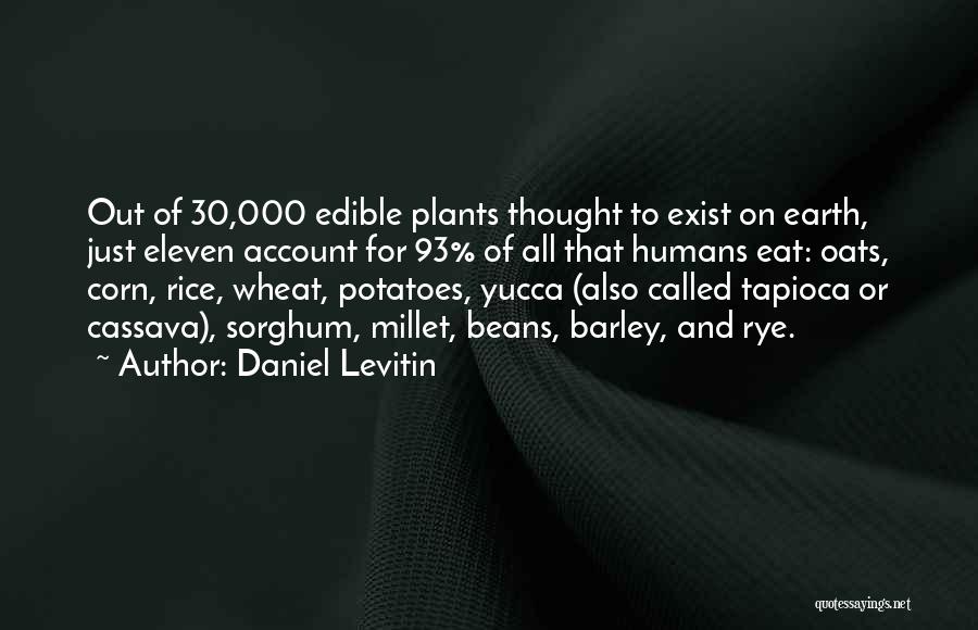 Tapioca Quotes By Daniel Levitin