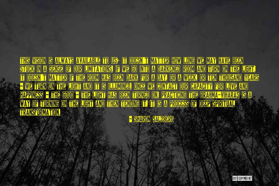 Tapions Sword Quotes By Sharon Salzberg Tapions Sword Quotes By Sharon Salzberg