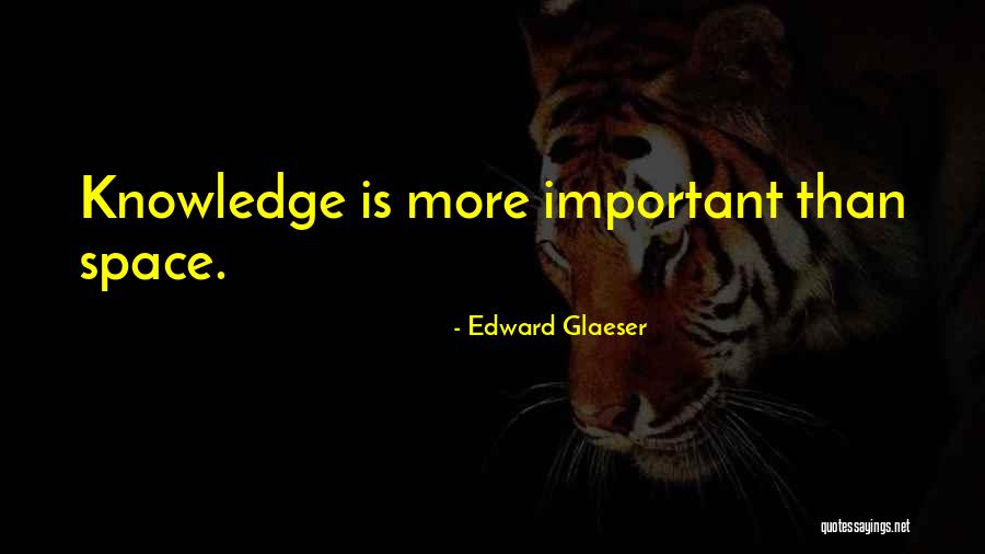 Tapis Berbere Quotes By Edward Glaeser Tapis Berbere Quotes By Edward Glaeser