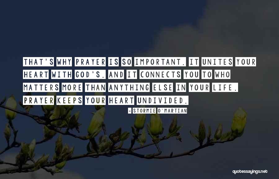 Tappeti Marocchini Quotes By Stormie O'martian Tappeti Marocchini Quotes By Stormie O'martian