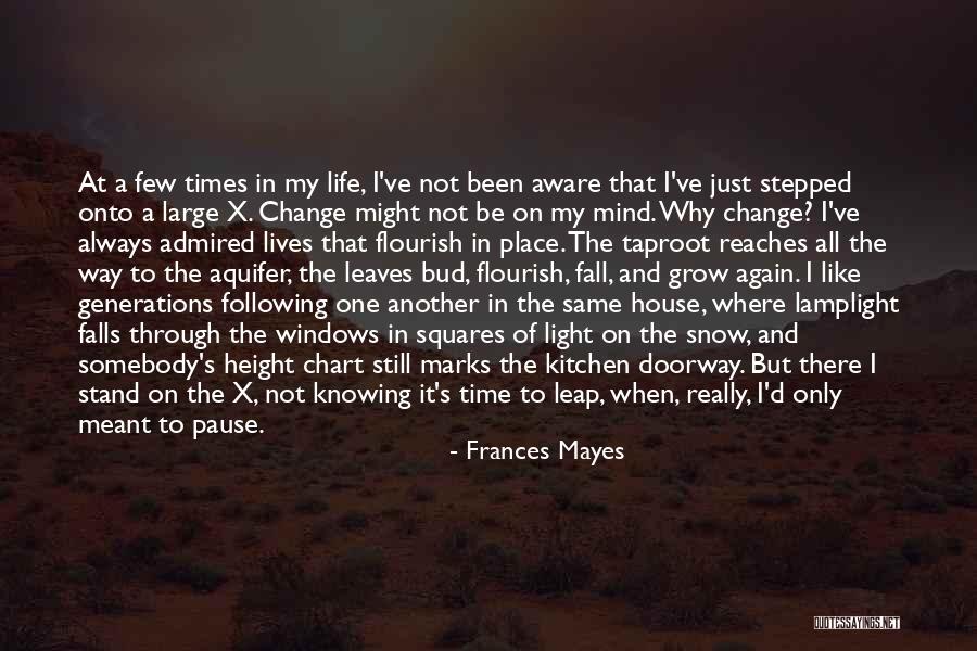 Taproot Quotes By Frances Mayes Taproot Quotes By Frances Mayes