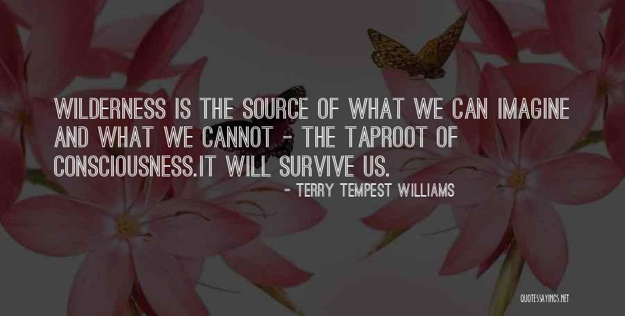 Taproot Quotes By Terry Tempest Williams Taproot Quotes By Terry Tempest Williams