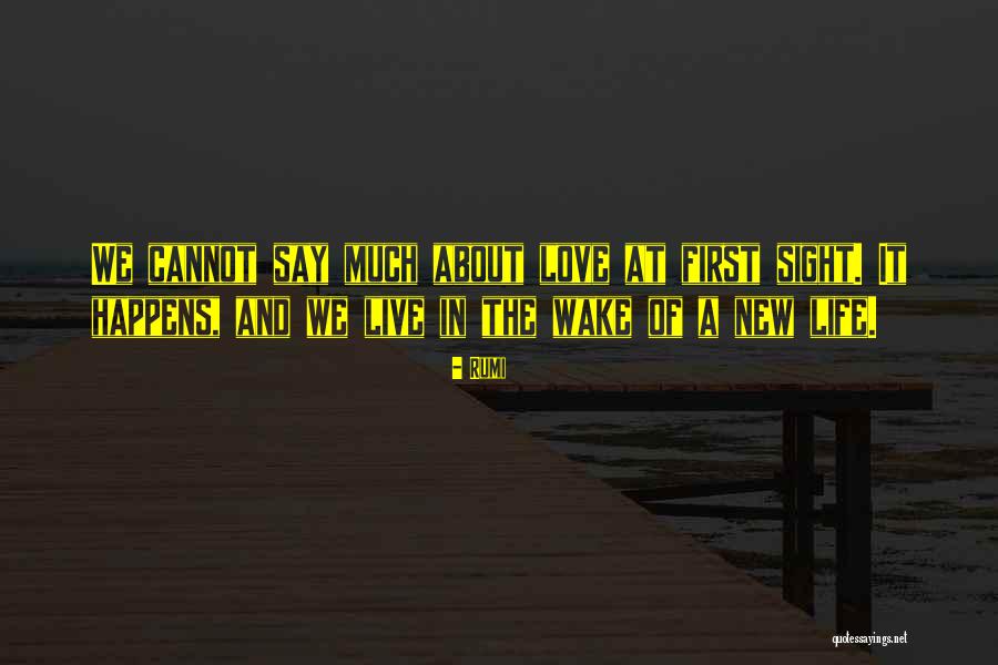 Tapu Kadastro Quotes By Rumi Tapu Kadastro Quotes By Rumi