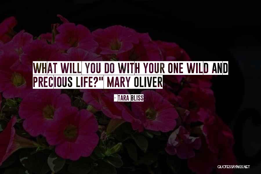 Tara Bliss Quotes 553681 Tara Bliss Quotes 553681