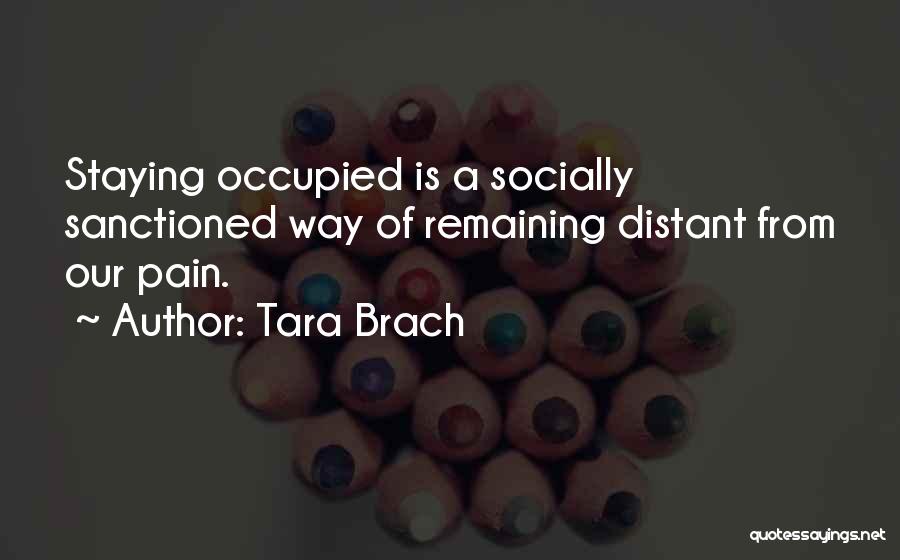 Tara Brach Quotes 1005635