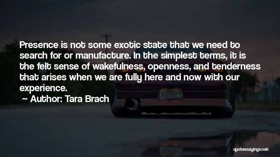 Tara Brach Quotes 107897