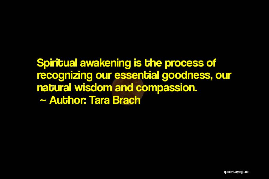 Tara Brach Quotes 1184532