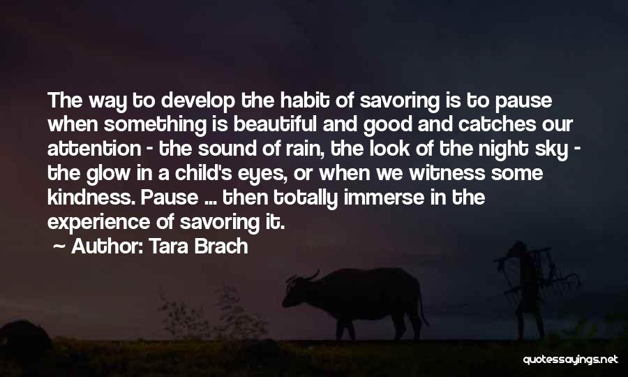 Tara Brach Quotes 1607013