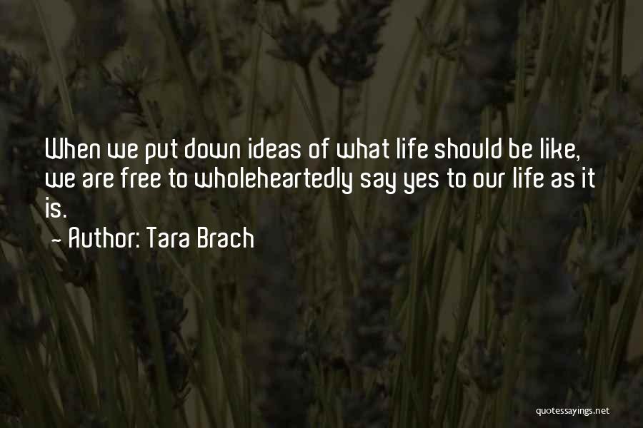 Tara Brach Quotes 2194131