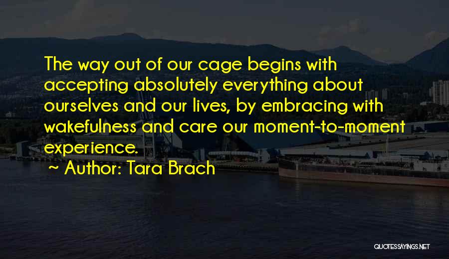 Tara Brach Quotes 2265950