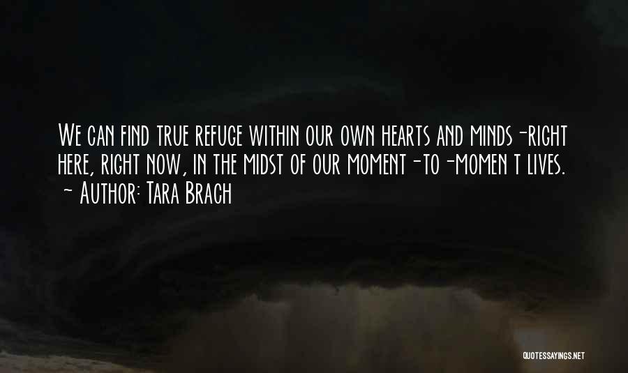 Tara Brach Quotes 453809
