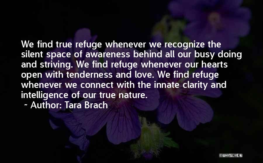 Tara Brach Quotes 77637