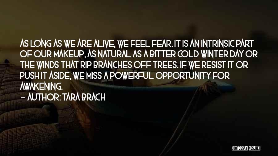 Tara Brach Quotes 819053