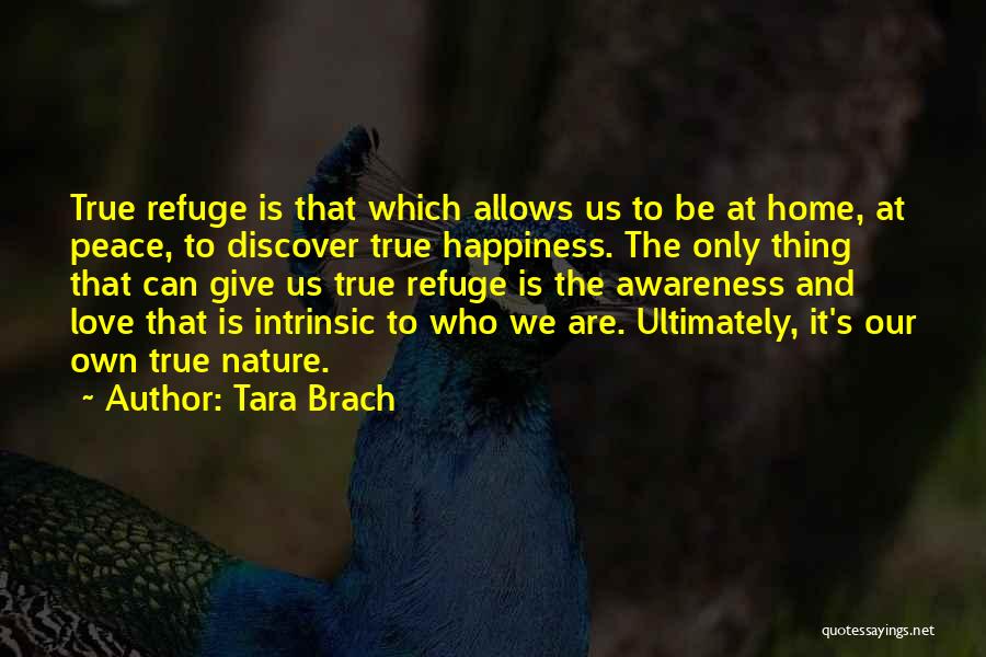 Tara Brach True Refuge Quotes By Tara Brach