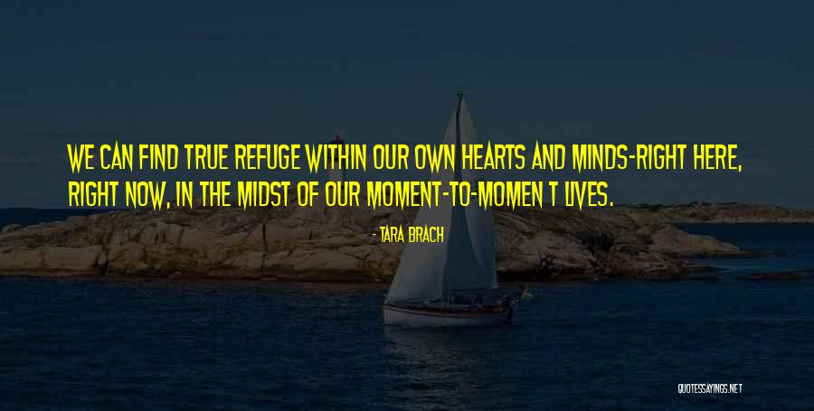 Tara Brach True Refuge Quotes By Tara Brach Tara Brach True Refuge Quotes By Tara Brach
