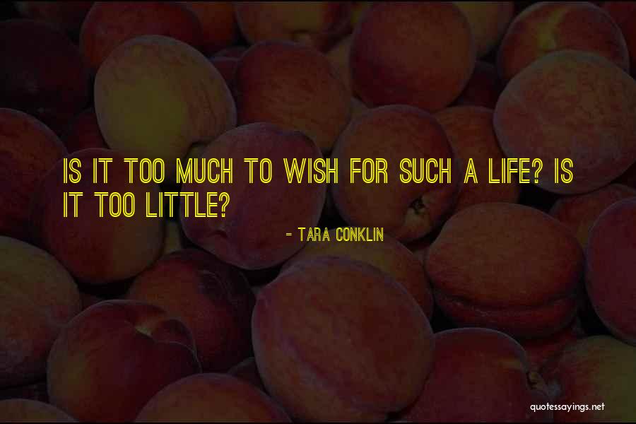 Tara Conklin Quotes 2005715 Tara Conklin Quotes 2005715
