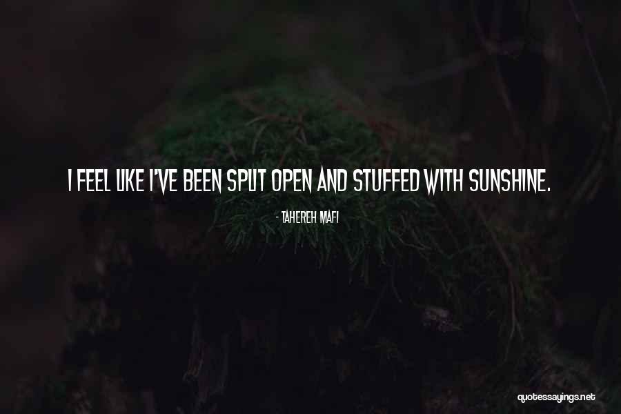 Tara Lynn Quotes By Tahereh Mafi Tara Lynn Quotes By Tahereh Mafi