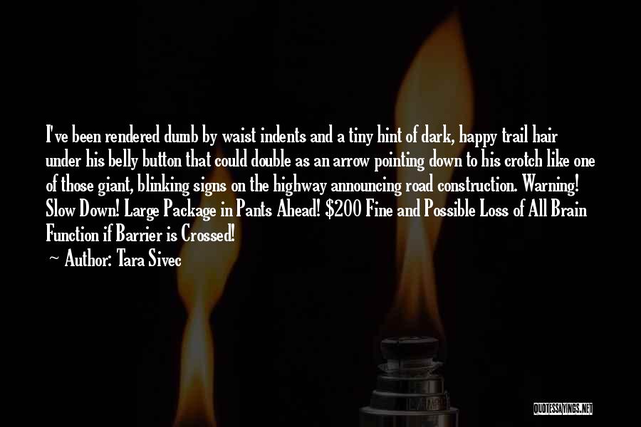 Tara Sivec Quotes 1788086