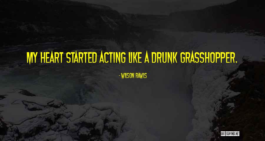 Tarado E Quotes By Wilson Rawls Tarado E Quotes By Wilson Rawls