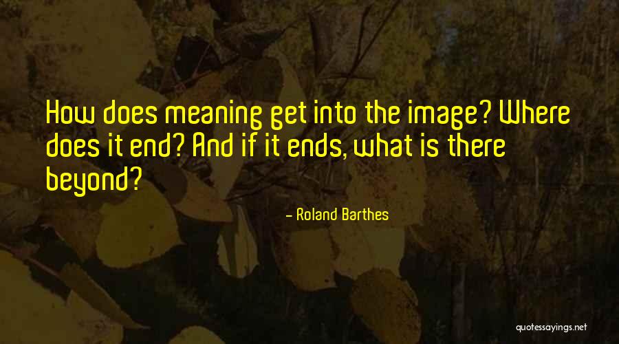 Tarado Quotes By Roland Barthes Tarado Quotes By Roland Barthes