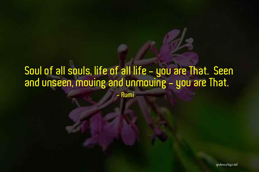 Taranis X9d Quotes By Rumi Taranis X9d Quotes By Rumi