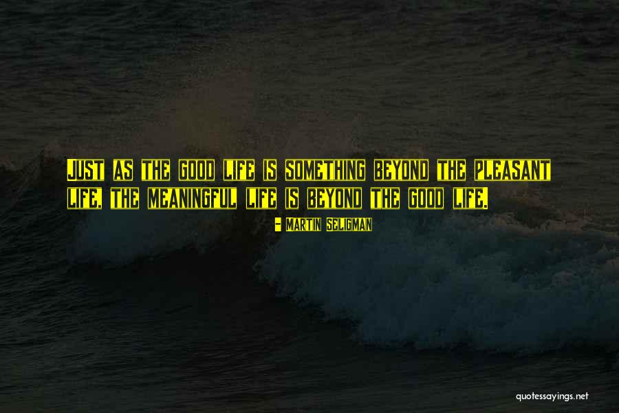 Tarantina Brian Quotes By Martin Seligman Tarantina Brian Quotes By Martin Seligman