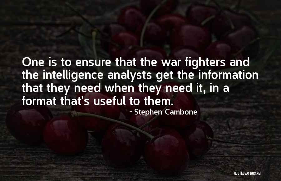 Tarantola Ryan Quotes By Stephen Cambone Tarantola Ryan Quotes By Stephen Cambone