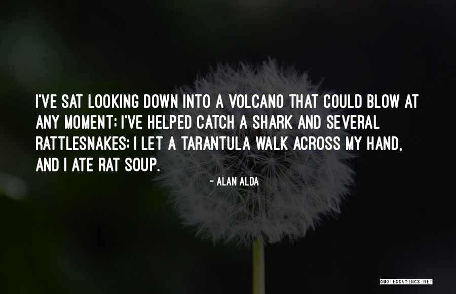 Tarantula Quotes By Alan Alda