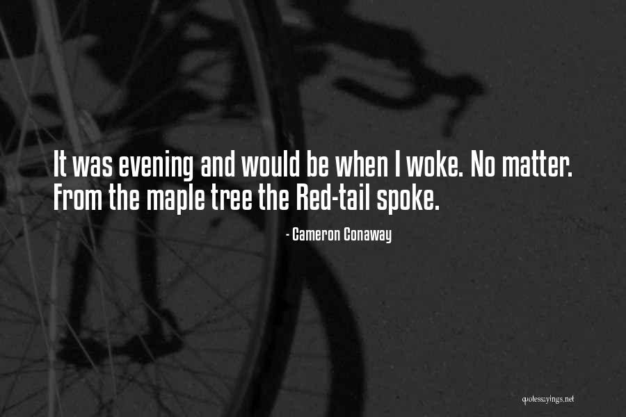 Taraud M10 Quotes By Cameron Conaway Taraud M10 Quotes By Cameron Conaway